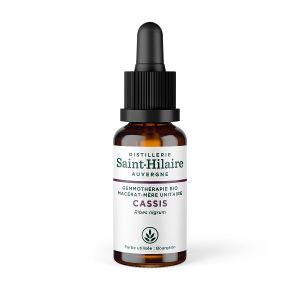 Macérat de cassis bio - 1